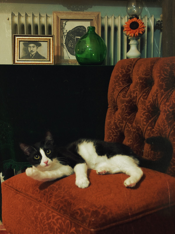 1-IMG_20250324_211113 (1)