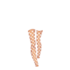 https://i.postimg.cc/yYszMhxj/IMG-1766.webp