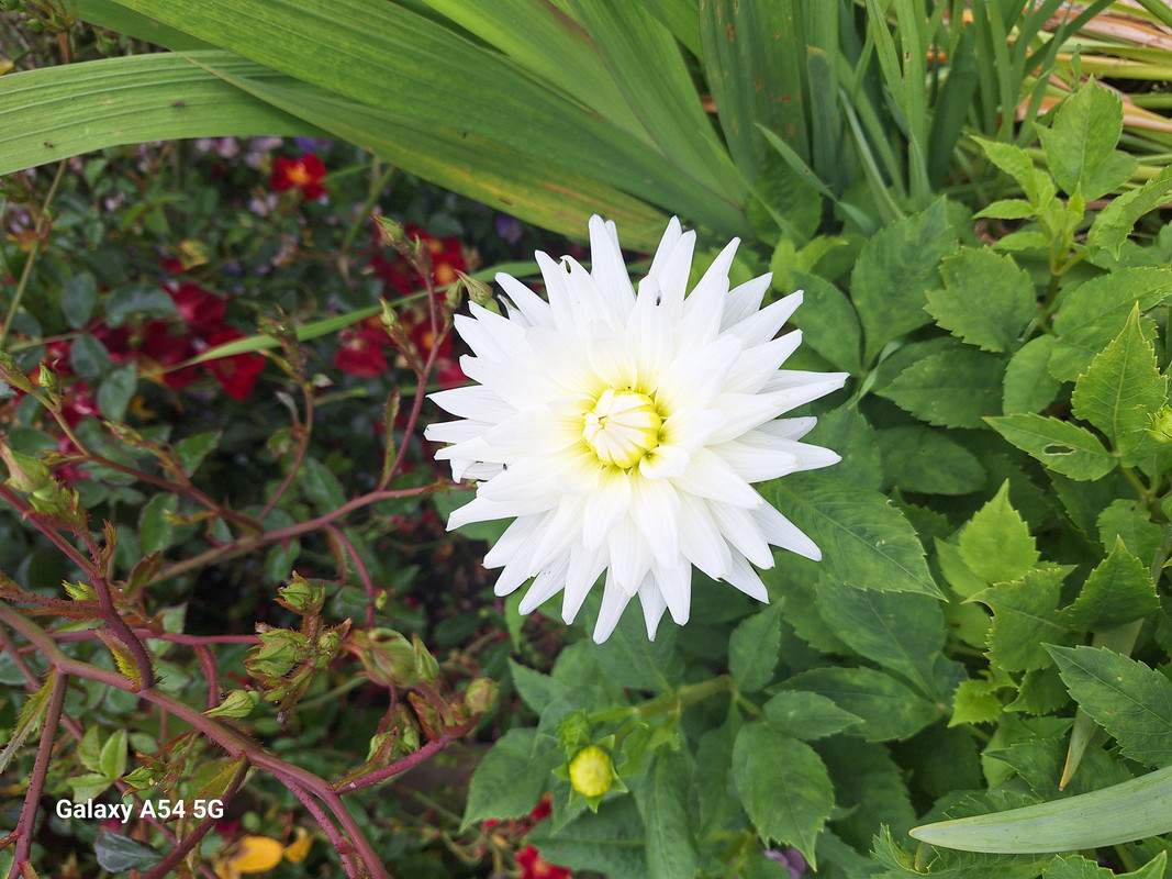 [Image: 20240620-152314.jpg]