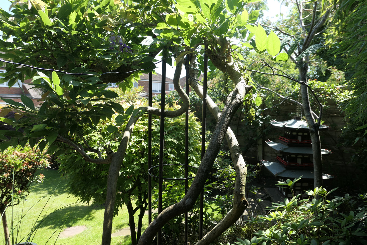 P1040855