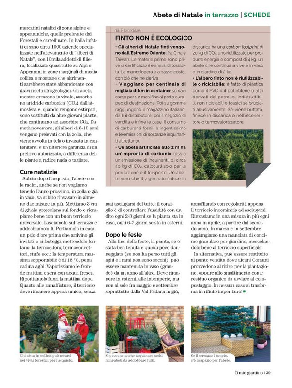 Il Mio Giar Dic 2022-Gen 2023 (6)