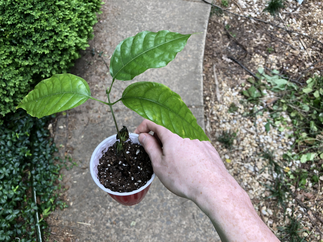 F97C3BBE-61E9-4455-B3FD-383A01C2AA9F