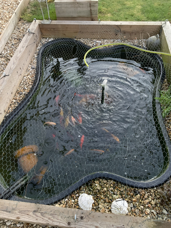 F67B0BE4-9BF8-49EE-83D1-CB0CCFBBFC06