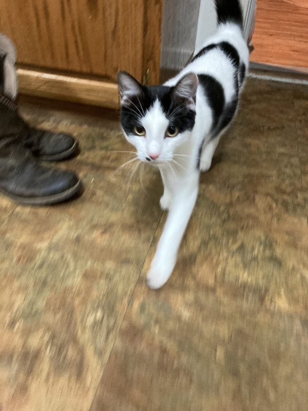 29ED392F-852E-4C30-8243-E99EDA38730B