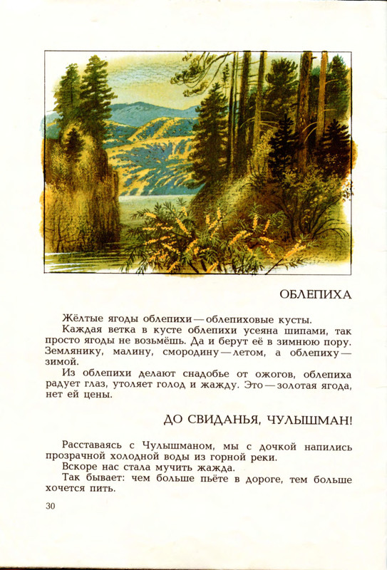 Goryshin-Gleb-Na-altajskoj-trope-222354-31