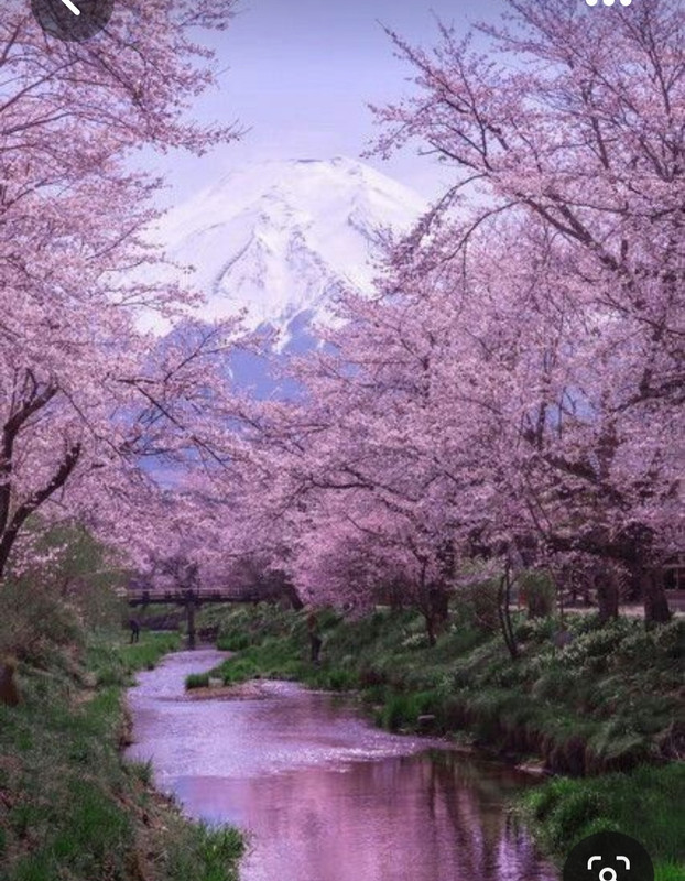 Screenshot_20230512_224236_Pinterest