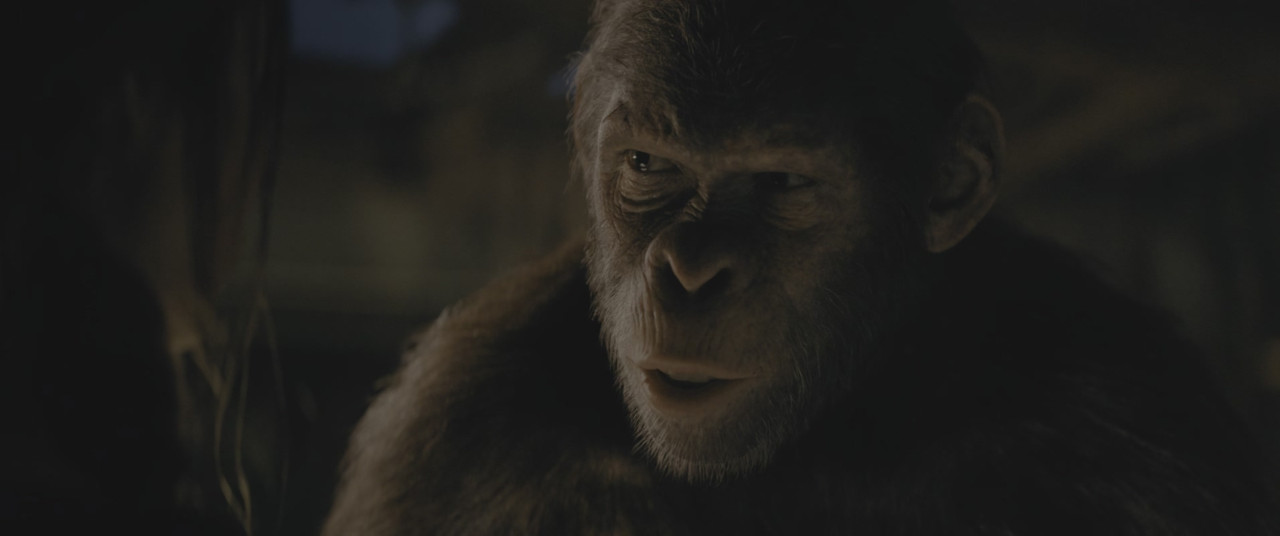 Il regno del pianeta delle scimmie (2024) .mkv 2160p DV HDR WEB-DL DDP 5.1 iTA ENG H265 - FHC.mkv_20