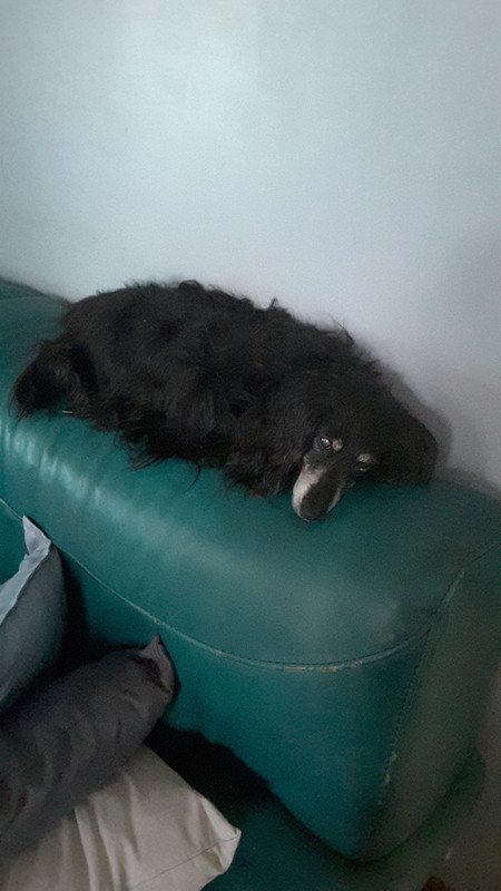 [Image: 20220810-210737.jpg]