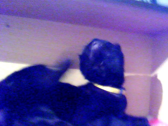 Изображение 020