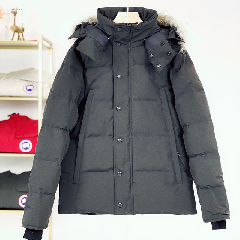Canada Goose (GOOD QUALITY)