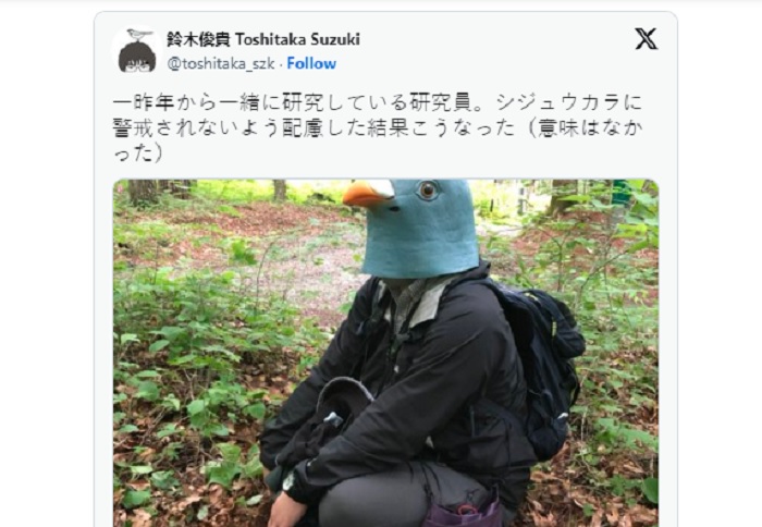 Viral seorang ilmuwan menyamar jadi burung raksasa untuk lebih dekat dengan sarang burung Great Tit saat melakukan penelitian.