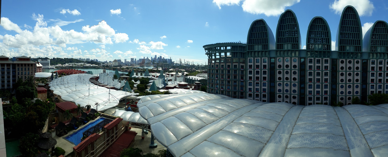 20200719-104411.jpg