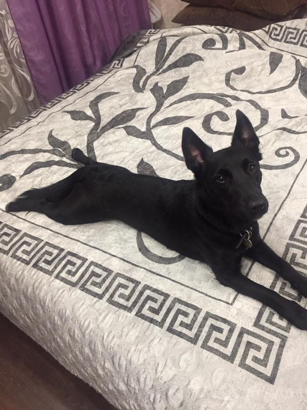 C8B15DBD-A661-4C2A-9132-C1BDB64270D7