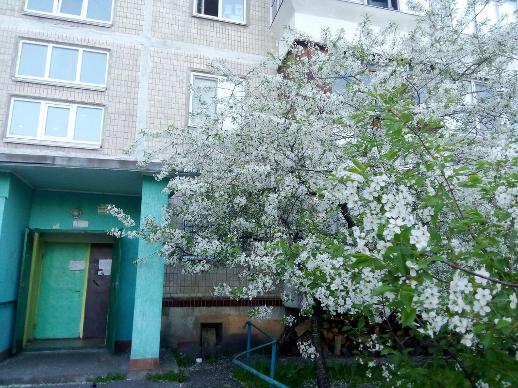 photo_2025-04-22 9.56.28 пп