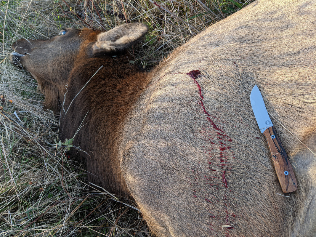 PXL_20201015_002648594