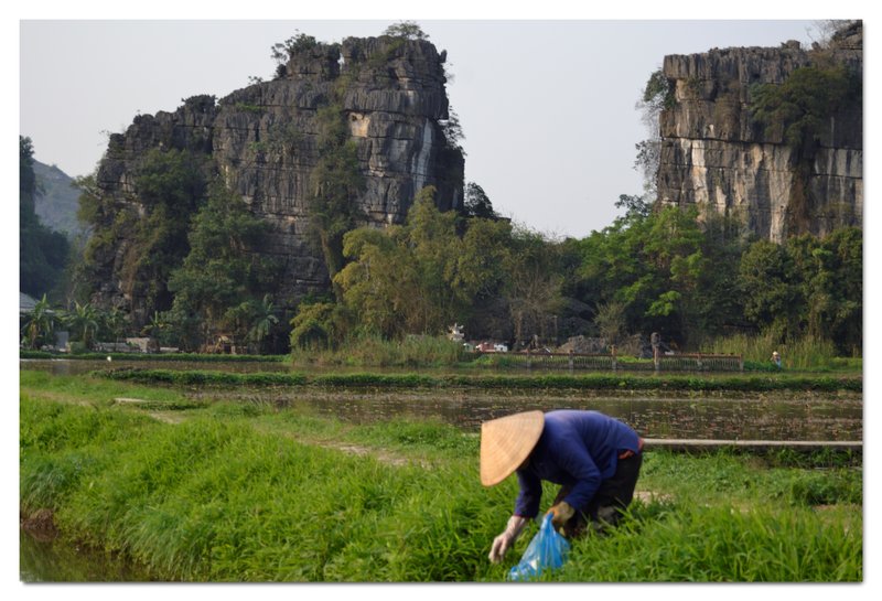 Tam Coc, rios, montañas y campos de arroz. - De la bahía de Halong a los templos de Angkor (15)