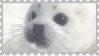 made by @transmascgarfield on tumblr