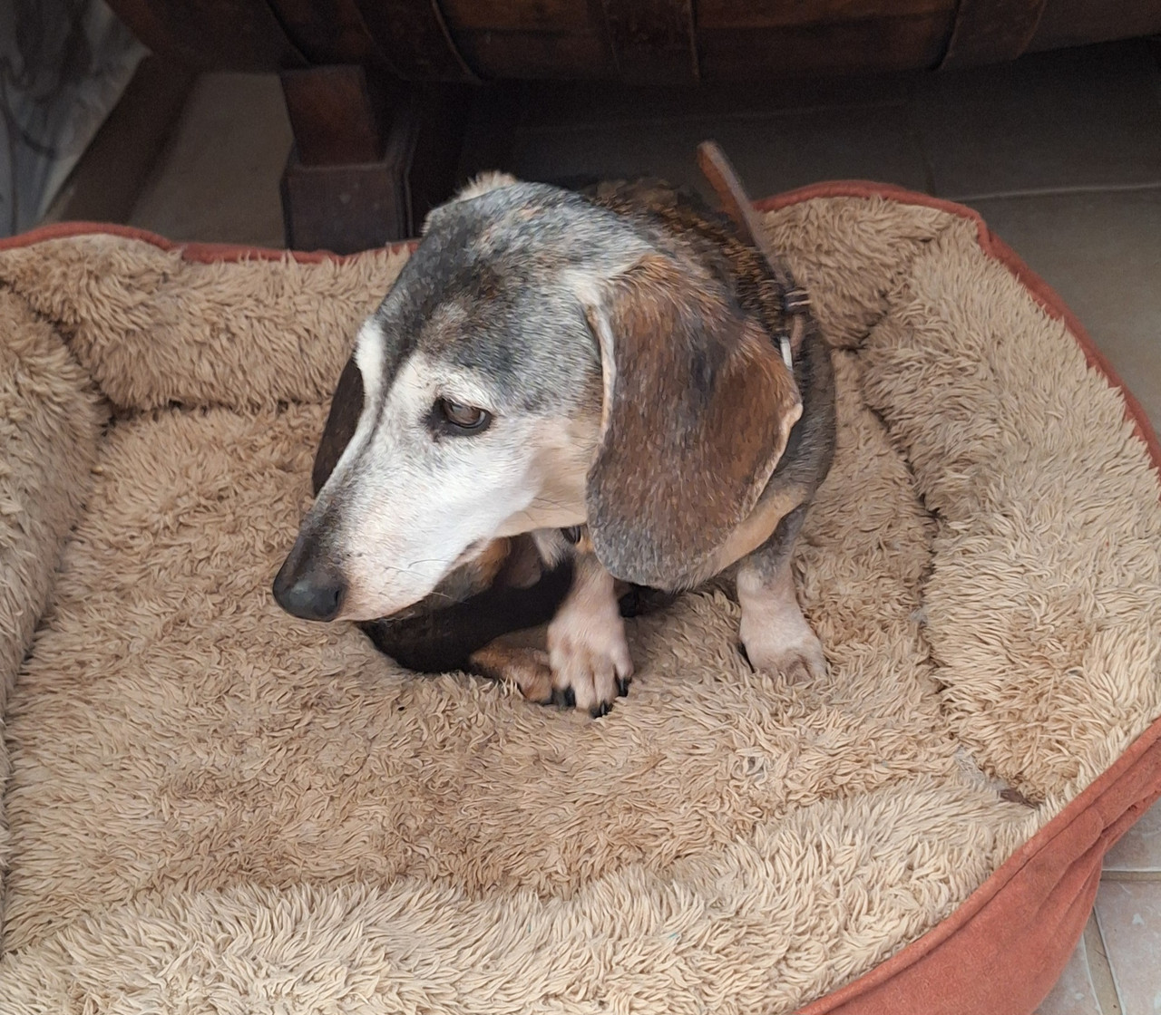 [Image: 20251126-094503.jpg]