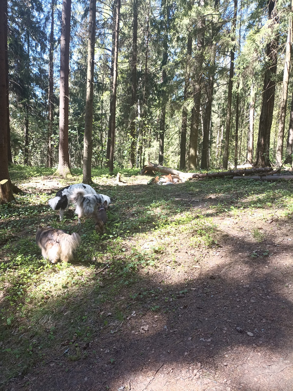 IMG-20240519-110336.jpg