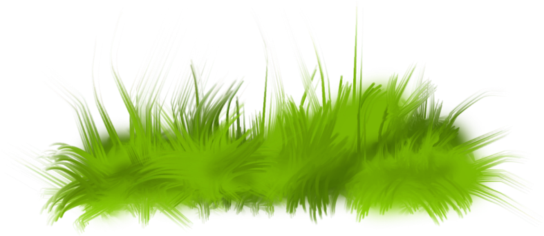 Pumpkinfairykitpudngrass