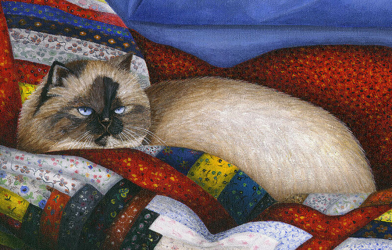 09-molly-a-rescue-cat-close-up-carol-wilson
