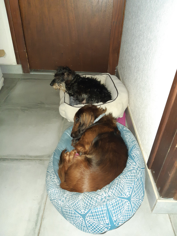 [Image: 20200708-102001.jpg]