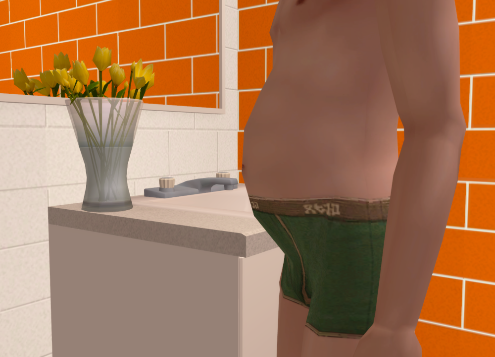 Sims2-EP9-RPC-2022-01-01-16-21-52-41