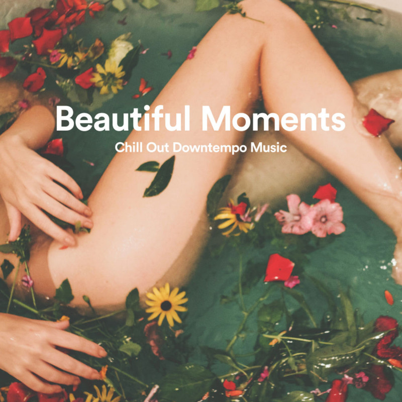 VA -  Beautiful Moments Chill Out Downtempo Music (2019) .mp3 -320 Kbps