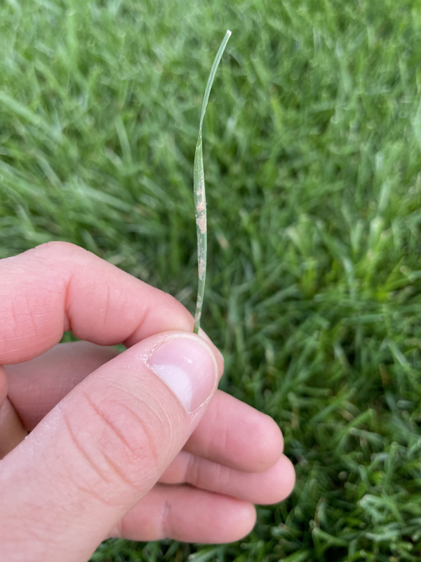 B9DFE7E7-0F8E-4258-BB7B-45663DB302F1