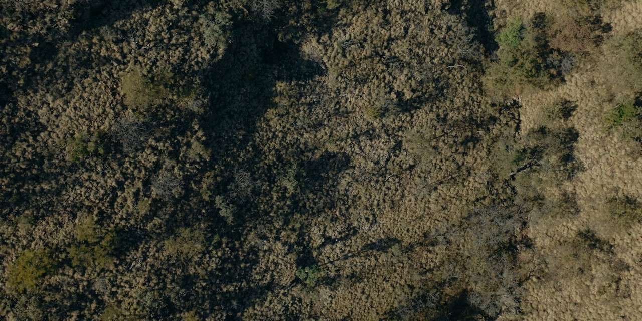 In Your Dreams 2023 S01E01 Amazon 1080p WEB DDP x264-NM21vi.mkv_snapshot_41.48.000