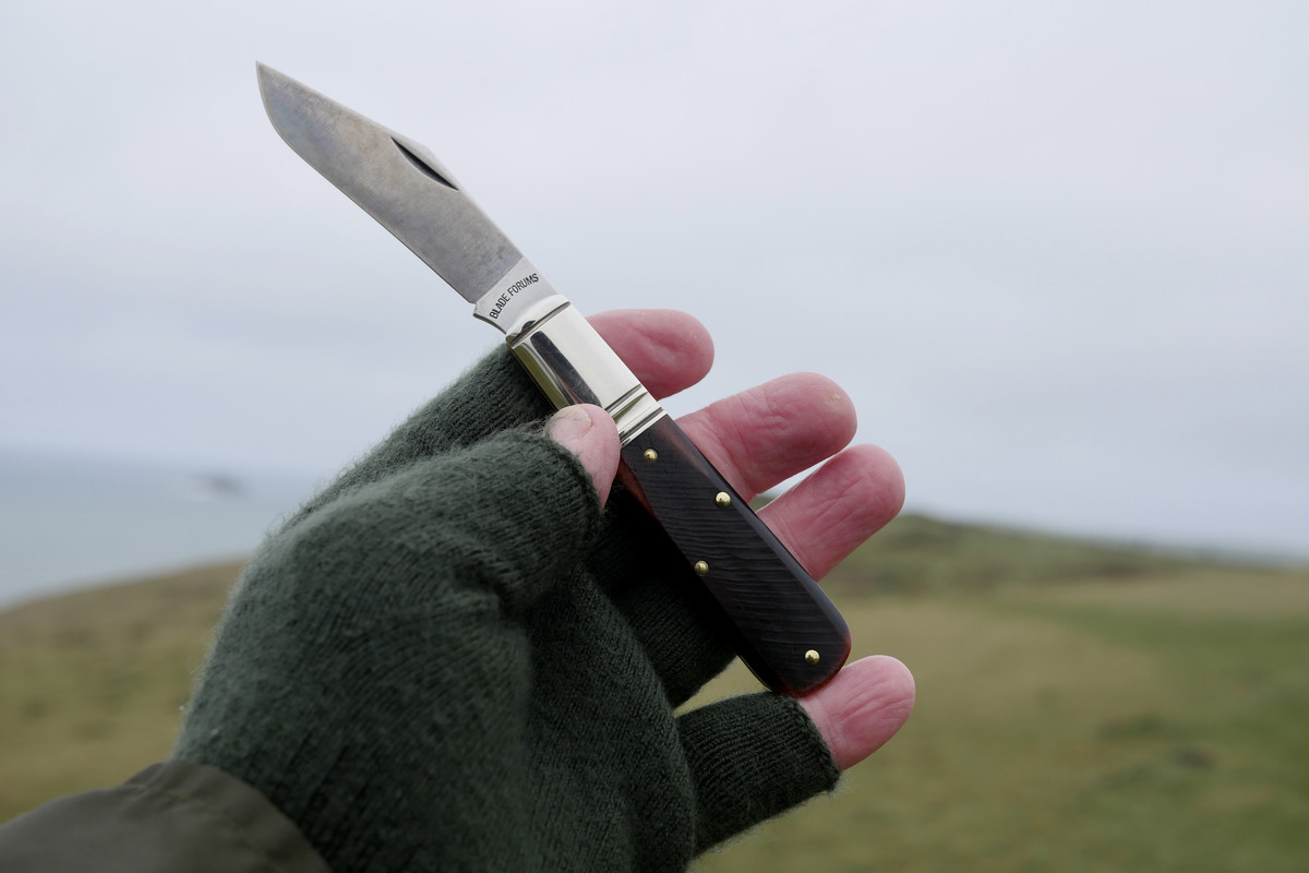 FFC2362E-9724-4E2F-BA8E-B94F91DF13FA