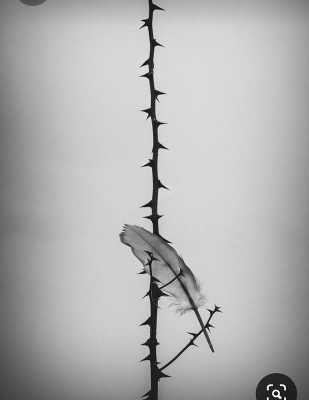 Screenshot_20231030_211933_Pinterest