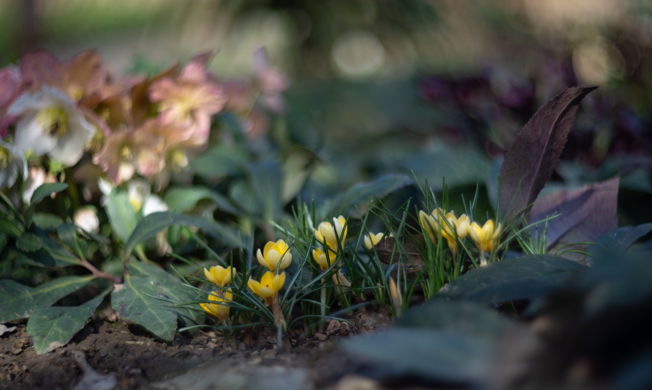 IMG-a899d416846e592ed1502d1b64d5637a-V
