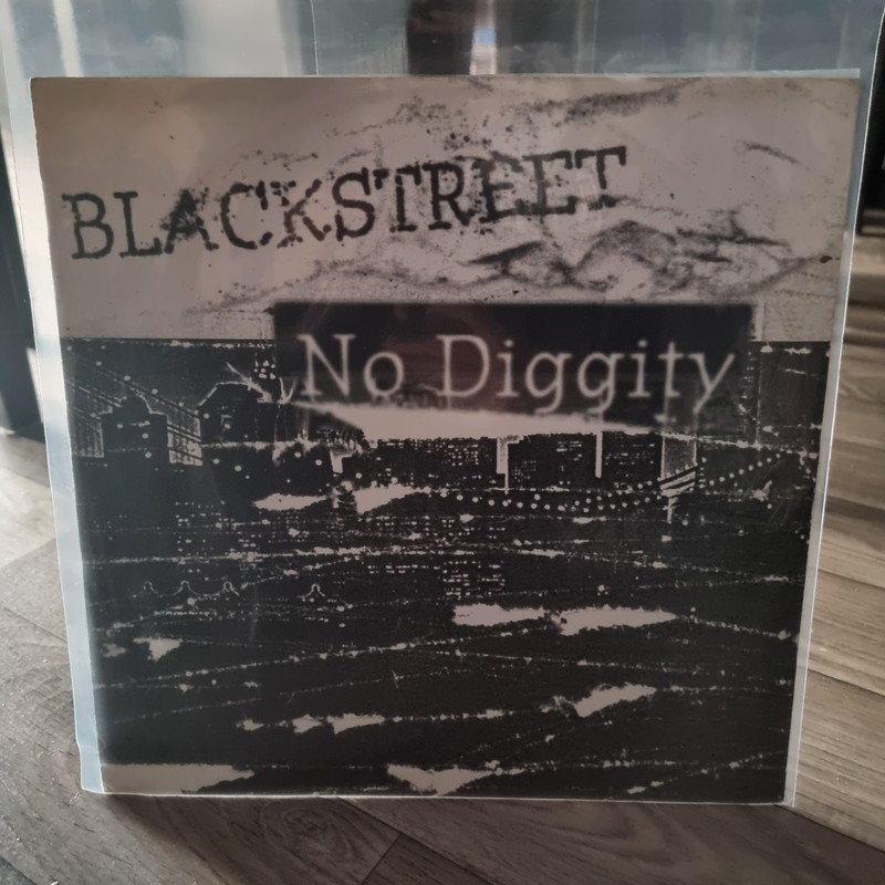 vinyle 1996 blackstreet no diggity