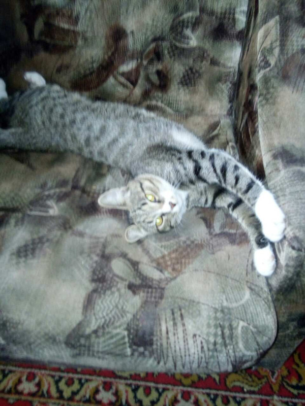 Жорик дома 9 дней