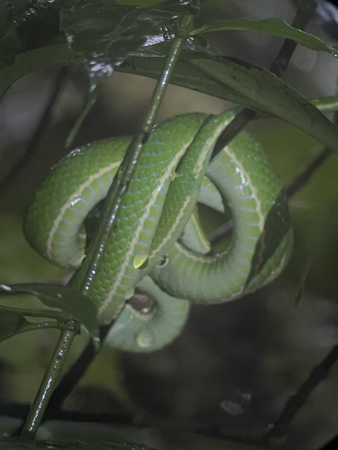 Reserva biológica del bosque de Monteverde - Tamarindo - Costa Rica desde el aire. Una ruta diferente. Julio 2021 (1)