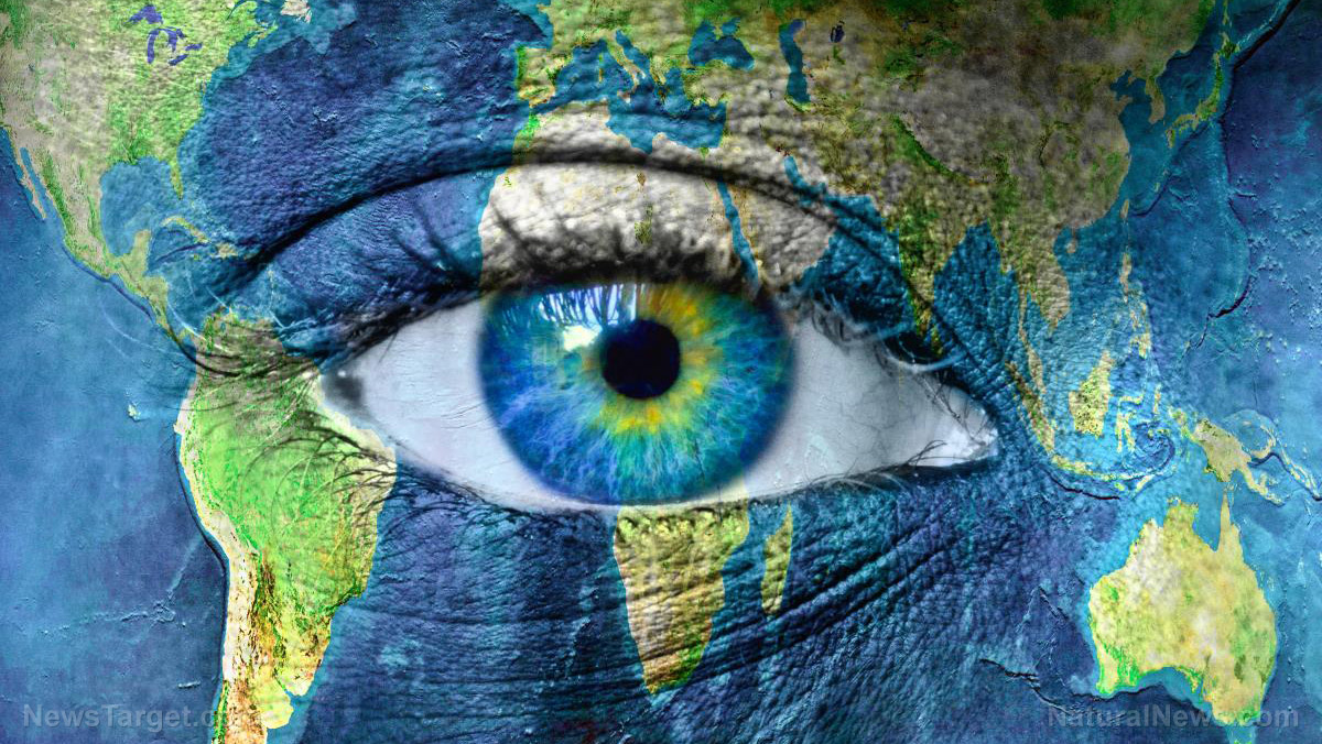 Planet-Earth-Blue-Human-Eye-Elements