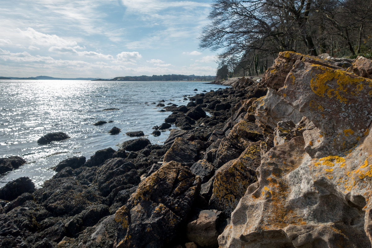 dsc04590-1_16510009354_o