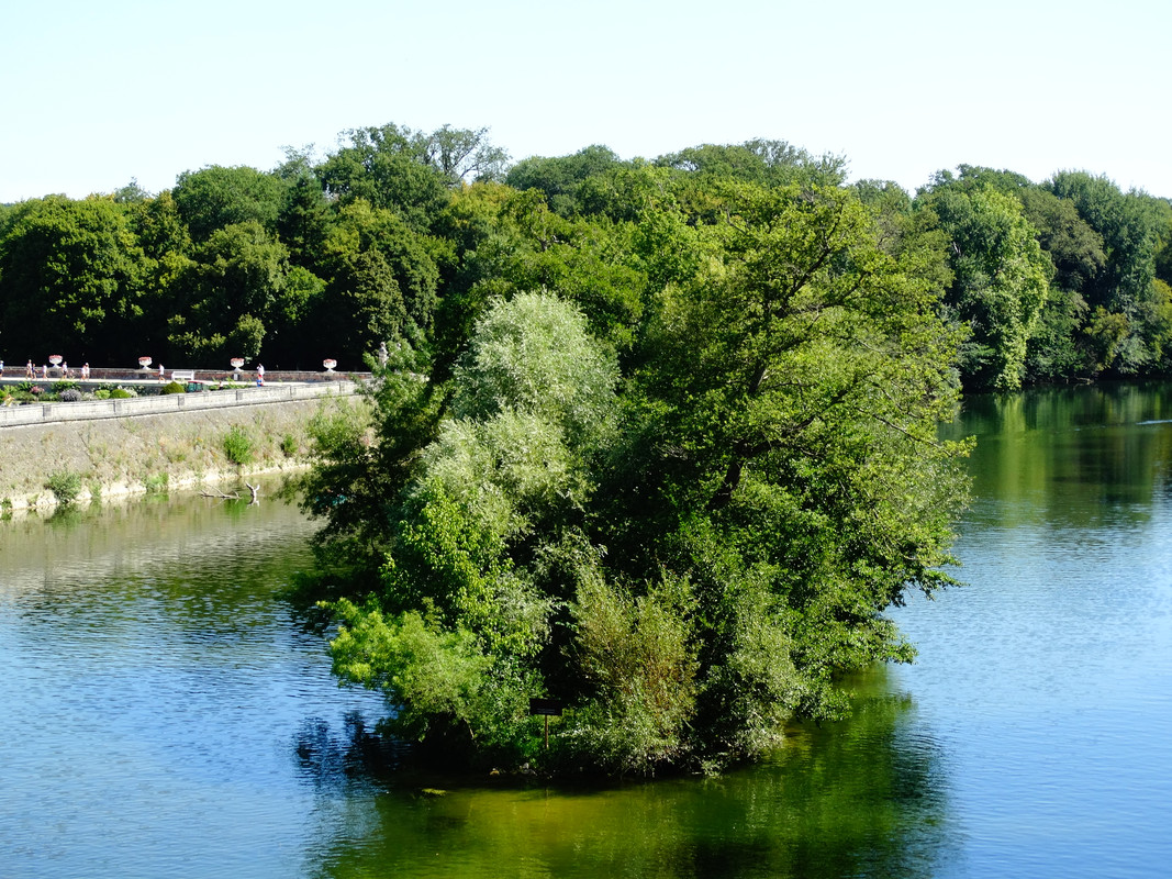 10.11b - DSC08824 (Czesio1)