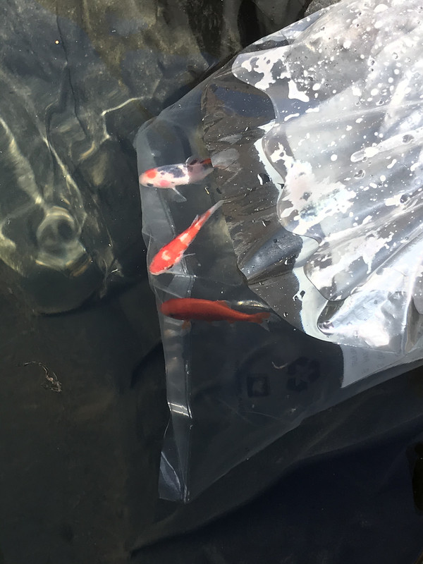 A3F4AF78-33F0-4539-920C-DCC4F5A17B5F