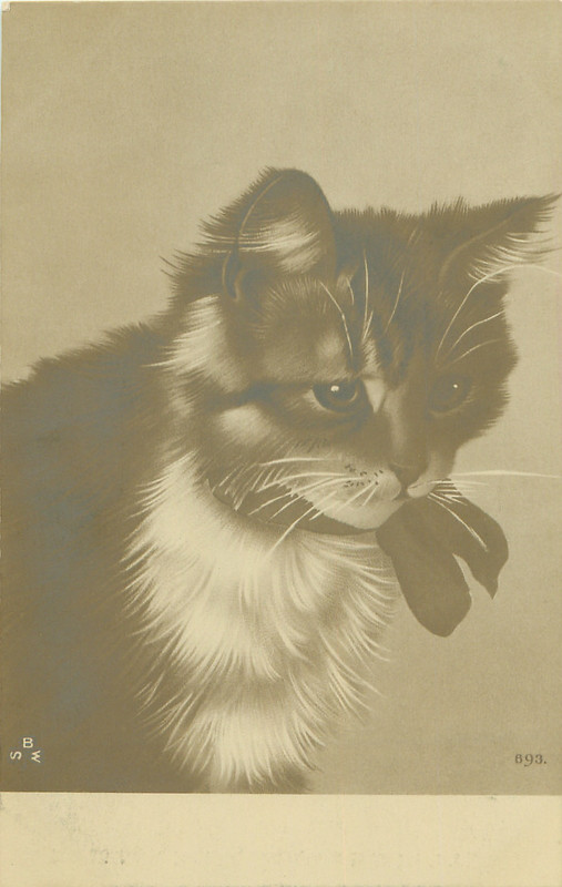 31-2011-06-24-17-26-33