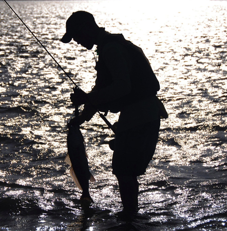 Screenshot 20260122 230155 Gallery