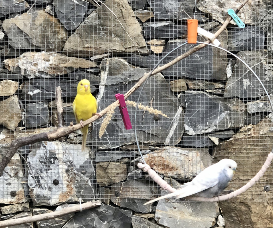 205D85D5-874E-4007-A0CD-A48E6EB898E5