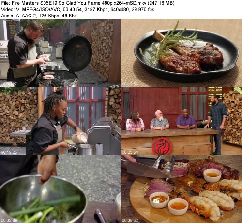 Fire-Masters-S05-E19-So-Glad-You-Flame-480p-x264-m-SD.jpg