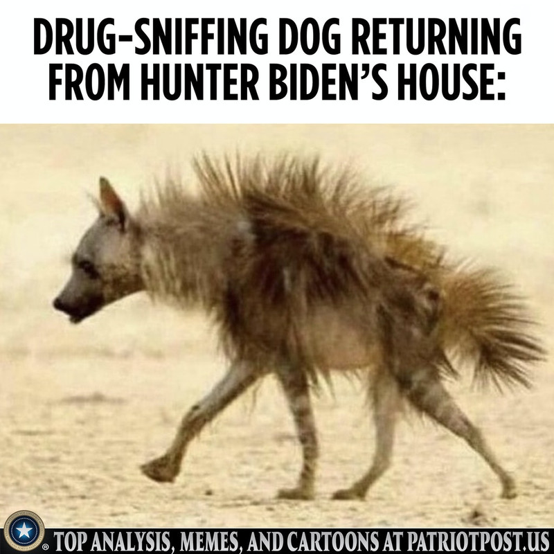 01G10RMJ8J41M1BCE4R8QFW2NC