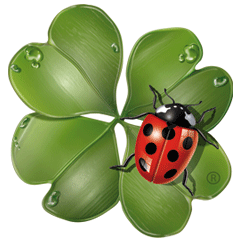 [Image: 1302604776550296d6b8f86.gif]