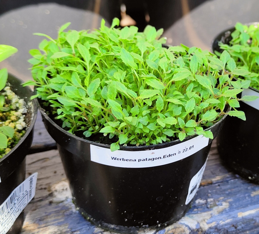 IMG_20230110_155954(1)