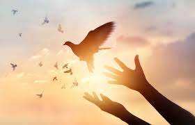 [Image: t-l-chargement.jpg]