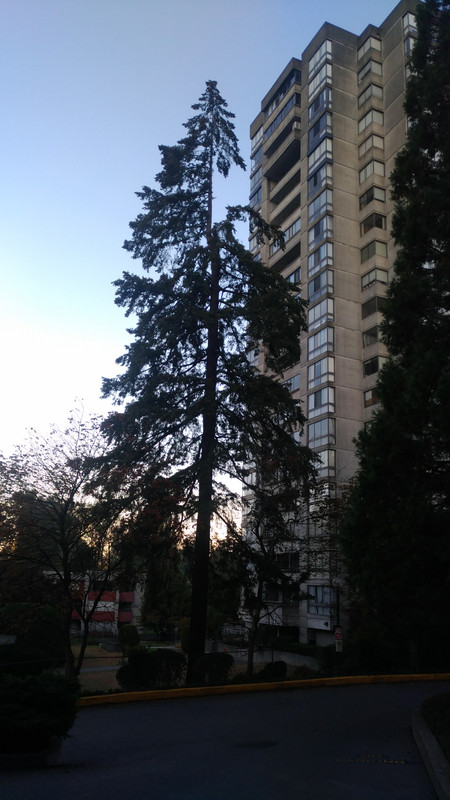 1665846573471860684681