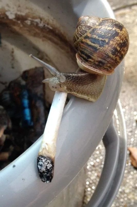 IMG 3542